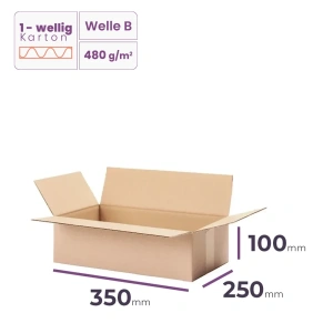 Faltkarton 350x250x100 mm - welle B/480 - 20 Stück