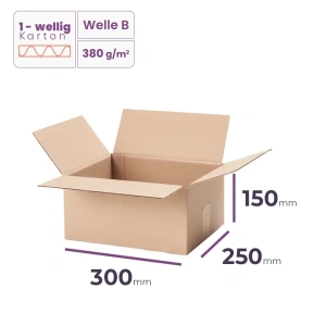 _Faltkarton_300x250x150_mm_-_welle_B/380_-_6800_Stück_