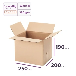 Faltkarton 250x200x190 mm - welle B/380 - 20 Stück 