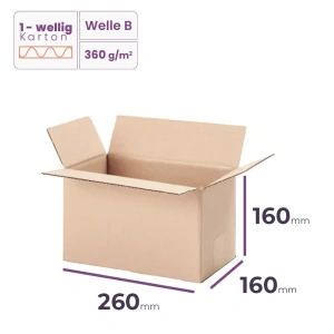 Faltkarton 260x160x160 mm - welle B/360 - 20 Stück