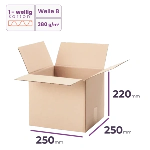 _Faltkarton_250x250x220_mm_-_welle_B/380_-_1600_Stück