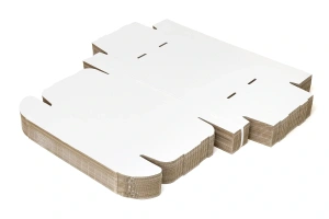 Weiße Faltschachtel für Kosmetik 250x250x80 mm