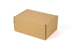 Maxibriefkarton 160 mm x 110 mm x 70 mm