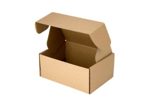 Maxibriefkarton 160 mm x 110 mm x 70 mm