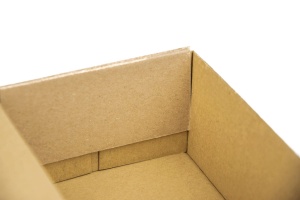 Maxibriefkarton 160 mm x 110 mm x 70 mm