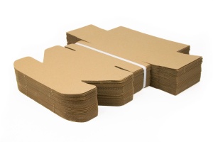 Maxibriefkarton 160 mm x 110 mm x 70 mm