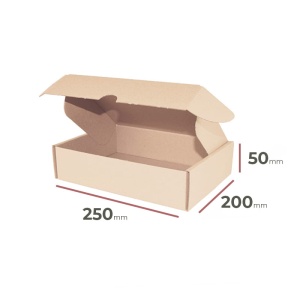 _Faltschachteln_250x200x50_mm_-_Verpackung_3200_Stück