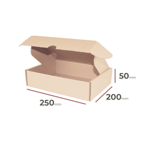 _Faltschachteln_250x200x50_mm_-_Verpackung_3200_Stück