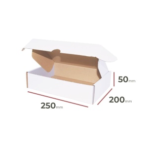 _Faltschachteln_250x200x50_mm_-_weiß_-_Verpackung_3200_Stück