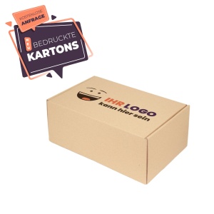 Versandkarton 250x160x100