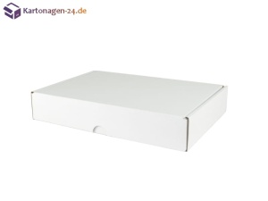 Versandkarton 310x220x55 weiß