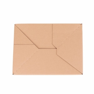 Blitzbodenkarton 250x 150x100