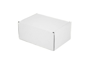 Maxibriefkarton 160 mm x 110 mm x 70 mm - weiß