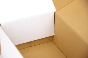 Maxibriefkarton 160 mm x 110 mm x 70 mm - weiß