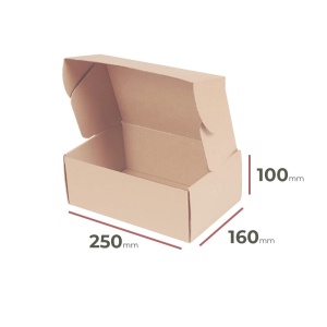_Karton_Versandkarton_250x160x100_mm_-_Verpackung_3280_Stück