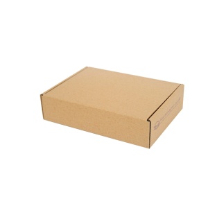 Karton 250x200x50