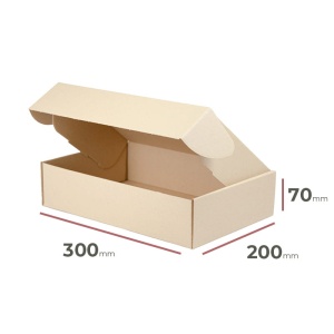 Maxibriefkarton 300x200x70