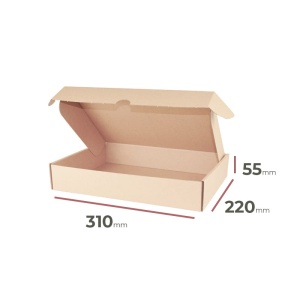 _Karton _Versandkarton_310x220x55_mm_-_Verpackung_4800_Stück