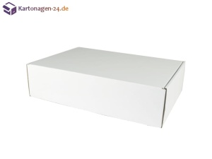 Versandkarton 350x250x90 weiß