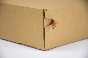 Karton mit Klebestreifen 220*120*80