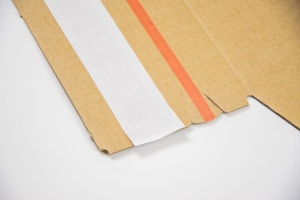 Karton mit Klebestreifen 220*120*80