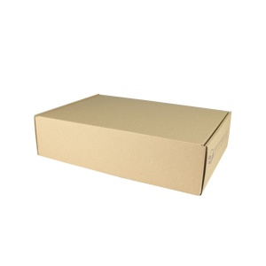Versandkarton 350x250x90