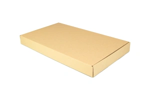 karton fasonowy zamknięty_400x230x40.webp