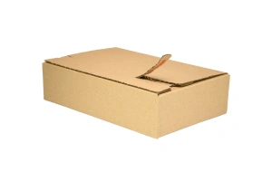 Automatikboden_Karton_250x150x120_04.webp