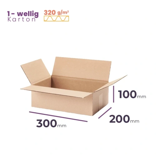 _Faltkarton_300x200x100_mm_-_welle_B/320 _-_21760_Stück_