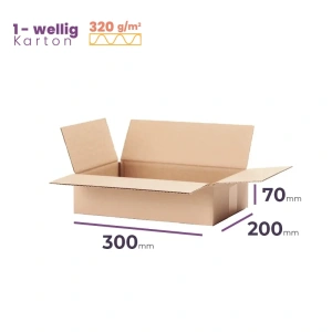 Faltkarton 300x200x70 mm - welle B/320  - 20 Stück