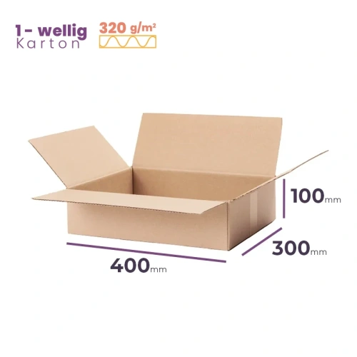 _Faltkarton_400x300x100_mm_Welle_B_320g/m2_-_Verpackung_2040_Stück