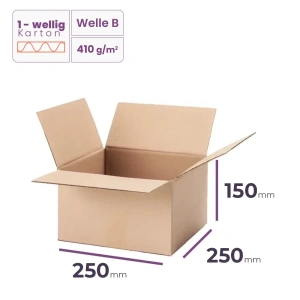 Faltkarton 250x250x150 mm - welle B/410 - 20 Stück