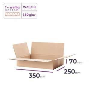 _Faltkarton_350x250x70_mm_-_welle_B/380_-_4320_Stück_