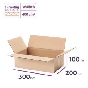 _Faltkarton_300x200x100_mm_-_welle_B/400 _-_8160_Stück_