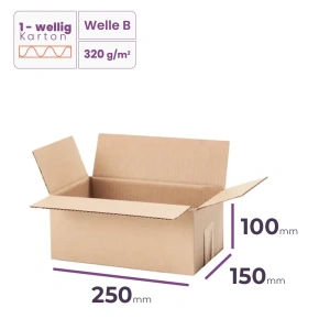   _Faltkarton_250x150x100_mm_-_welle_B/320_-_16200_Stück_