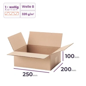 _Faltkarton_250x200x100_mm_-_welle_B/320_-_2720_Stück_