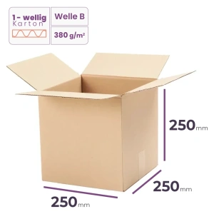   Faltkarton 250x250x250 mm - welle B/380 - 20 Stück     