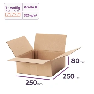 _Faltkarton_250x250x80_mm_-_welle_B/320_-_120_Stück  
